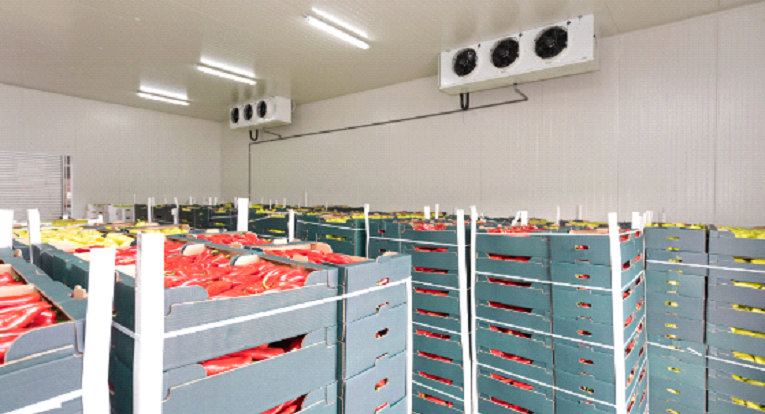 Cold Storage Warehouses 2